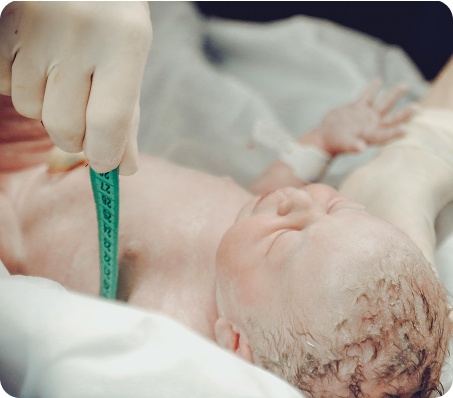 Labor And Delivery Image