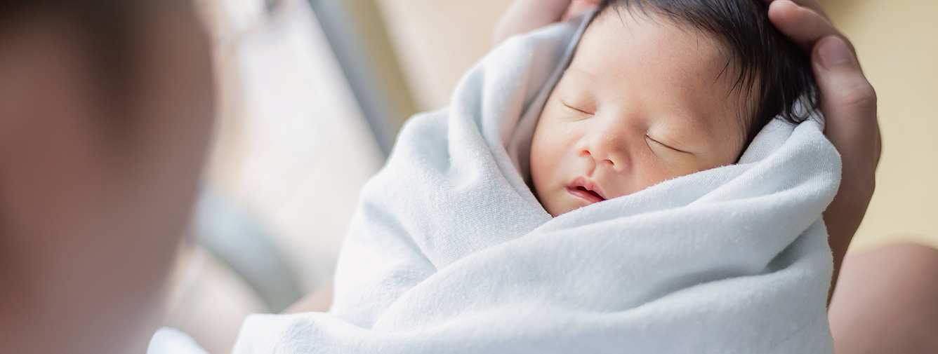 shutterstock_2464725521-2