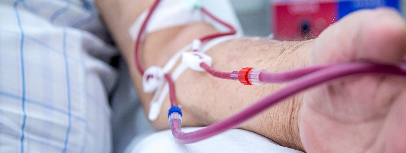 shutterstock_2532553987-2